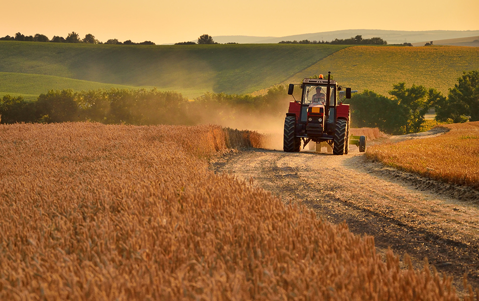 maquinaria agricola, diesel maquinaria agricola, diesel tractor, diesel empresa, distribucion diesel